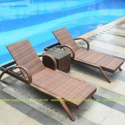 Giường Tắm Nắng Bể Bơi TL813