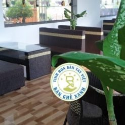 Bàn Ghế Sofa Mây Nhựa TL08